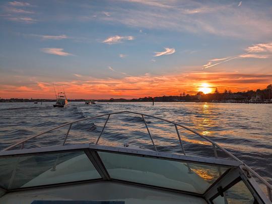 Créez des souvenirs en pêchant ou en faisant une croisière sur le yacht Wellcraft 230