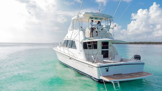 Riviera Flybridge with Aft Deck