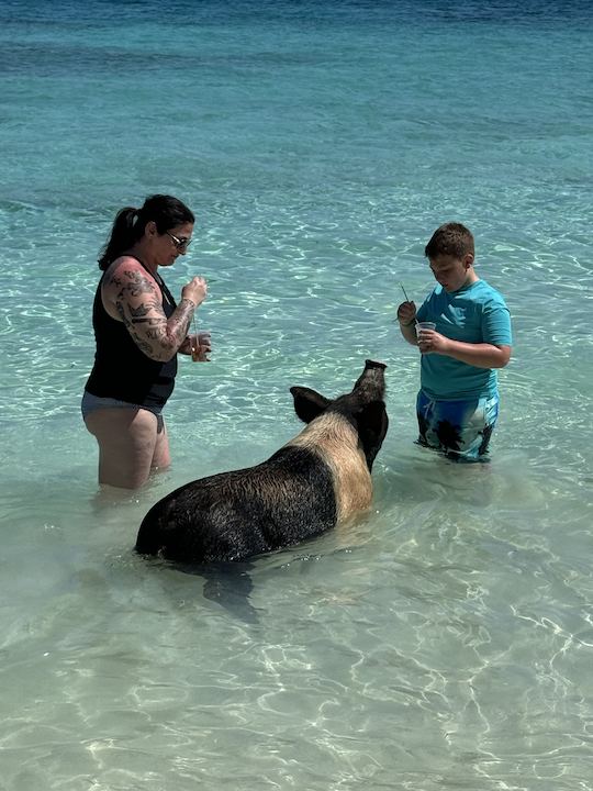 Snorkeling, swimming pigs, turtles, and a harbor tour in Nassau, Bahamas!