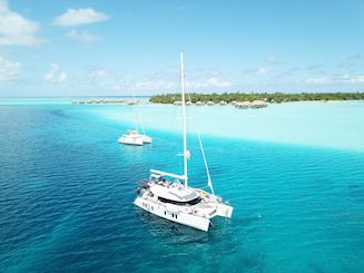 Catamarã privado de luxo de 50 pés, pôr do sol, velejar, golfinhos e fogos de artifício!