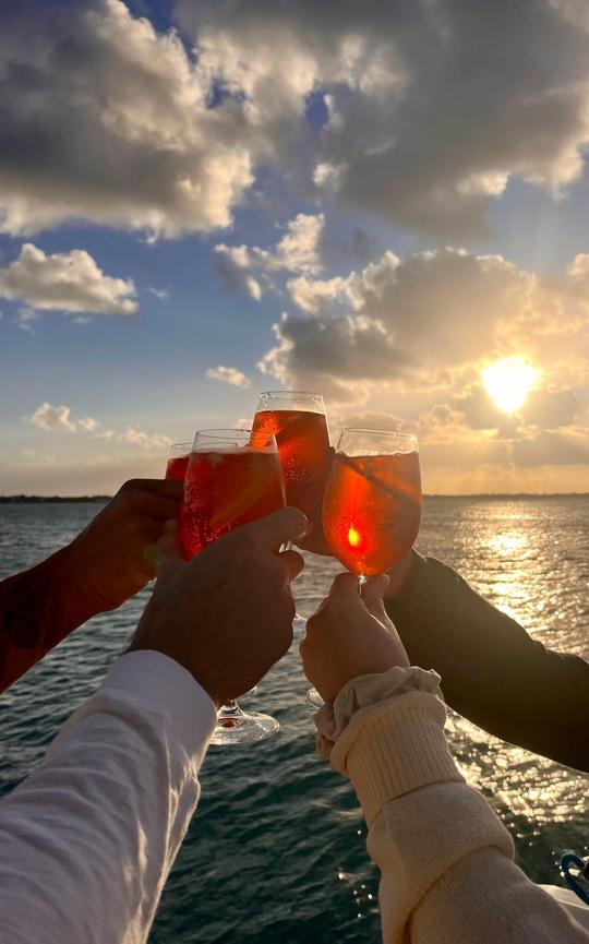 Cruzeiro de luxo com bebidas alcoólicas ao pôr do sol - Bebidas, lanches e música