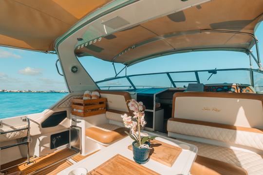 Hermoso Sea Ray de 43 pies, para hasta 15 personas con inflables y tabla de remo