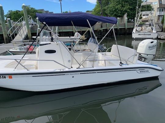 Aluguel de meio dia | Dauntless Boston Whaler de 22 pés em Hyannis Harbor, Massachusetts - Cape Cod