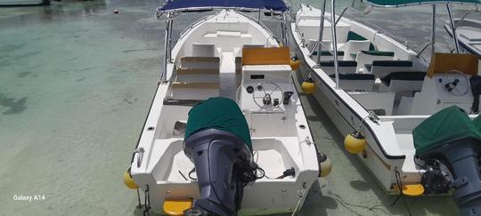 Bote Rapido Isla Saona y Piscina Natural