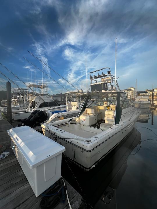 Party Cruises & Fishing Trips in Virginia Beach