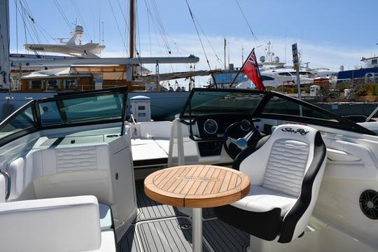 ¡Explora la Riviera Francesa en el Sea Ray 190 Sport 2024! ¡Wake Tower, lujos y más!