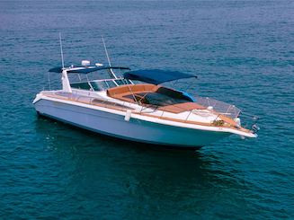 Luxury Sea Ray 44ft Motor Yacht for the perfect day!