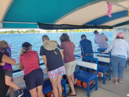 Dolphin & Manatee Sightseeing Cruise in Melbourne Florida aboard This Island