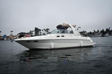 38FT Luxury SeaRay Sundancer Yacht