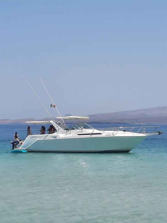 Yacht à moteur spécial Chris Craft de 42 pieds