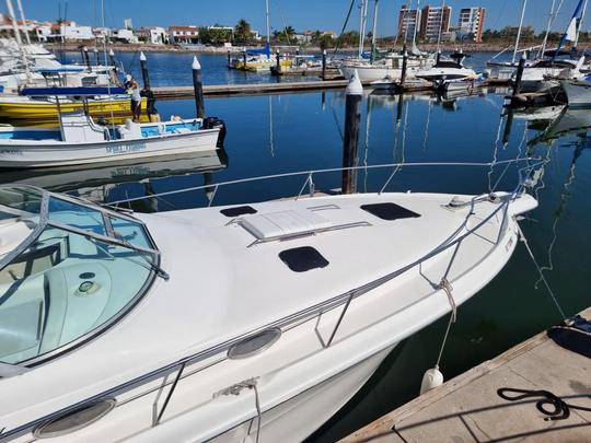 Charter Sea Ray 33ft Motor Yacht 