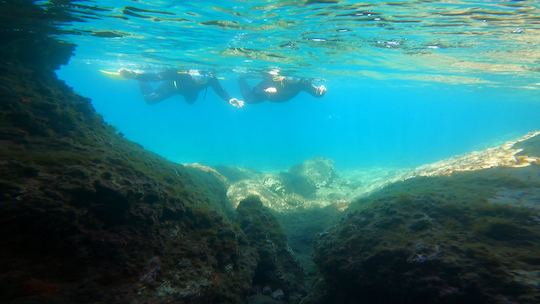 Snorkeling Boat Trips in Nea Makri, Athens