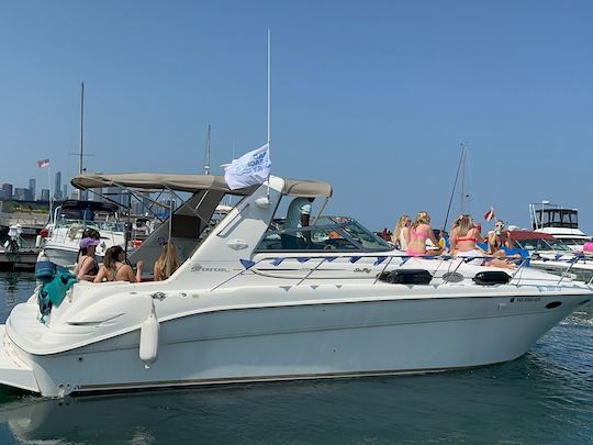 **Alquiler de barcos de lujo asequibles en Chicago para 12 personas en el lago Michigan/Playpen**