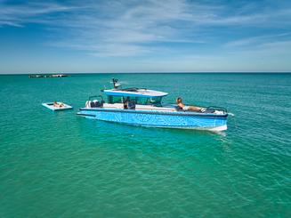 BATEAU À MOTEUR DE LUXE.. PEUT ACCUEILLIR DE GRANDS GROUPES... EXCURSION AVEC LES DAUPHINS ! ! ! ! !