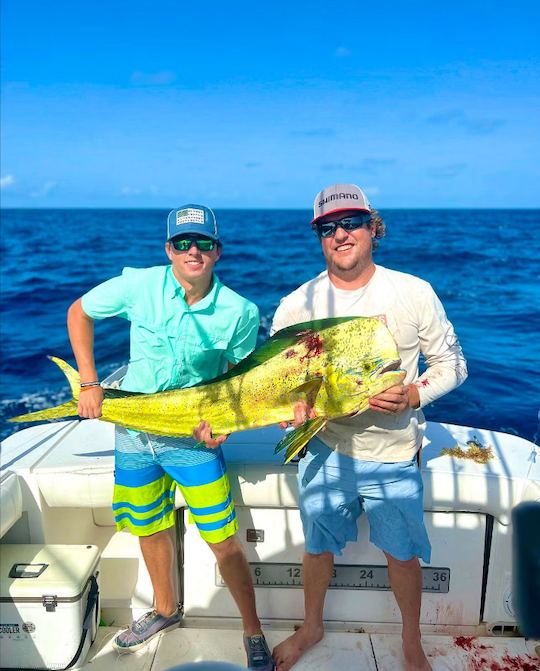 Excursión de día completo de pesca en St. John, Islas Vírgenes de los Estados Unidos