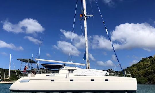 Disfrute de excursiones de un día o cruceros a las Granadinas a bordo de nuestro catamarán de lujo