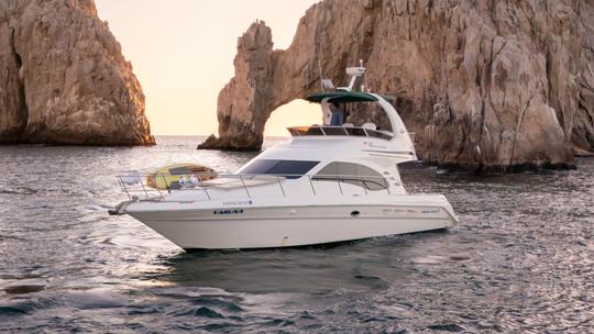 Alquiler de un lujoso yate SEARAY FLY BIGE SEDAN de 45 pies en Cabo con Flybridge Experience