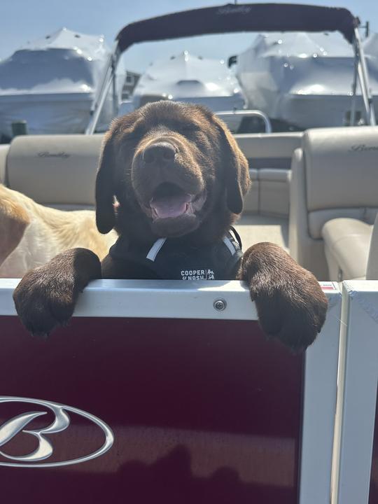 Private Pontoon Boat rides on the Barnegat Bay 