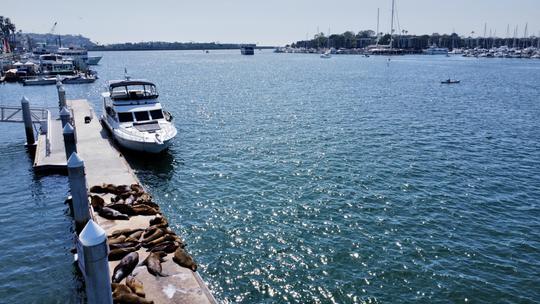 Marina Magic: excursão de barco Duffy de 21 pés em Marina Del Rey, Califórnia 