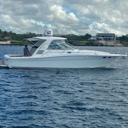 Visite la isla Saona en este yate a motor Sea Ray de 37 pies