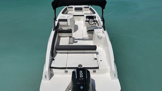 Big Grey, our Gorgeous 23' Bayliner Deck Boat with sports tower!