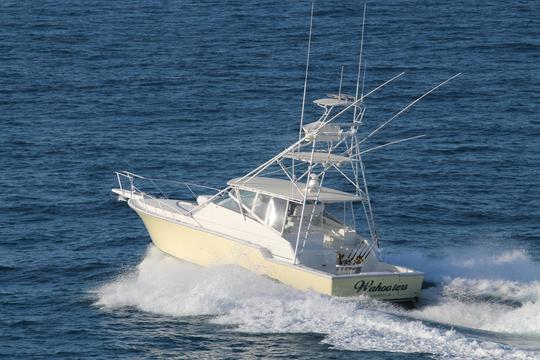 Charter de pesca en alta mar de 6 horas en las Islas Turcas y Caicos «Wahooter»