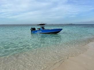 Private boat to explore Pigs Turtle Snorkeling and Beaching 