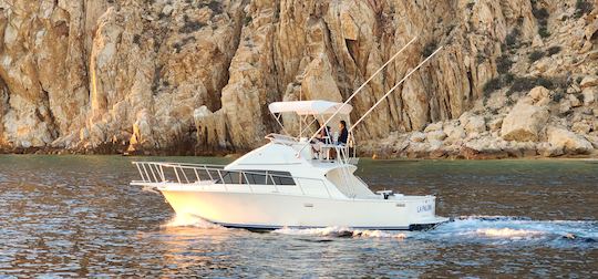 LA PALOMA FISHING TRIPS & TOURS