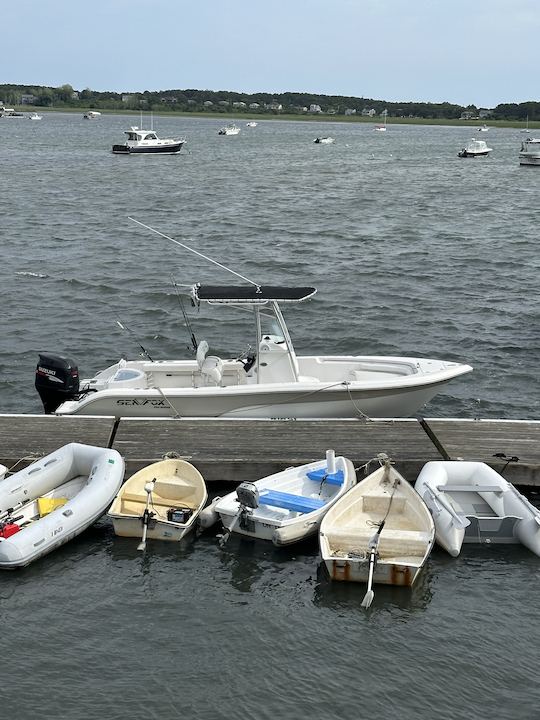 23ft Seafox Center Console for Fishing Adventure  