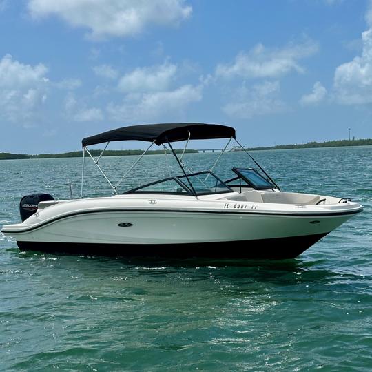 Aproveite e explore as águas de Islamorada em nosso Searay Bowrider de 21 pés!