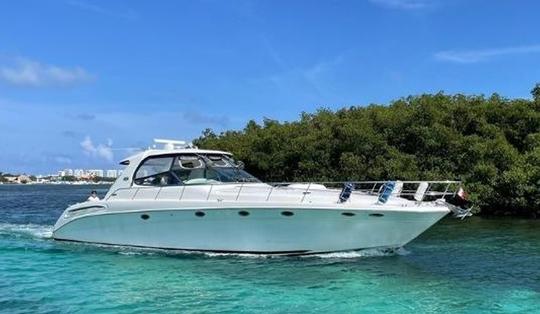 Exclusivo yate gigante a motor Sundancer de 60 pies en Cancún, Quintana Roo