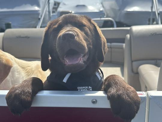 Private pontoon boat rides on the barnegat bay