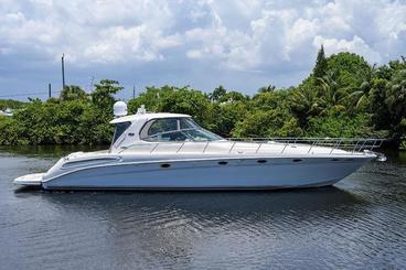 Beautiful Sea Ray 55 Motor Yacht In Puerto Vallarta