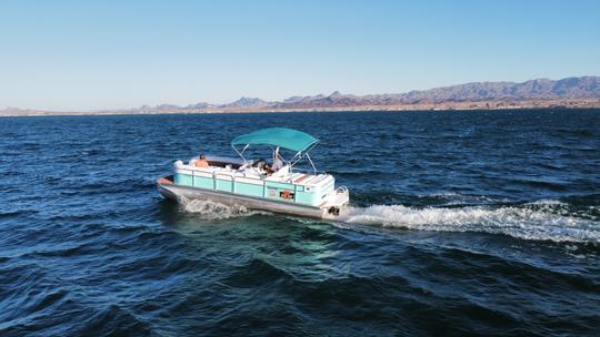 🐬25' Premier Pontoon Boat with an optional fun Captian! 