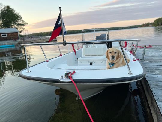 Un baleinier Boston de 17 pieds magnifique et maniable, équipé pour la rivière !