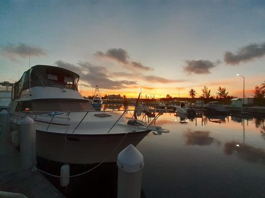 Location d'un yacht à moteur de 40 pieds - Exploration conviviale du North Sound, baignade, plongée avec tuba, détente 