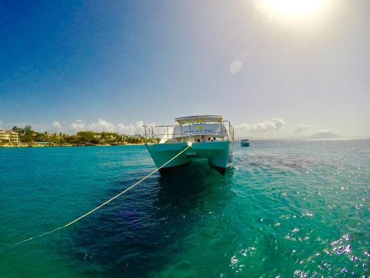 Private Boat Tour for Group