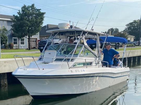 23 Foot Grady White Gulfstream w/ twin Yamaha F150's