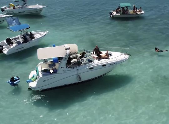 Sea Ray Sundancer 28' pouvant accueillir jusqu'à 8 personnes à Lajas