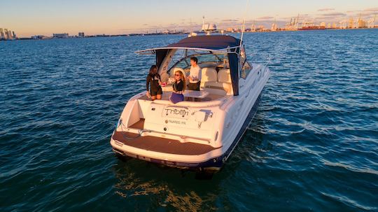 Croisière privée Sea Ray Sundancer de 37 pouces ⚓️