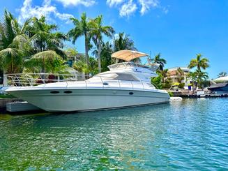 Profitez d'une croisière sur la côte de Montego Bay à bord d'un yacht Searay de 46 pieds 