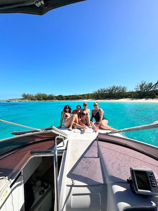 Charter privé exotique de Nassau à Rose Island, Pig Beach et plus encore ! 