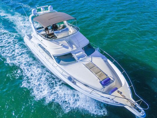 ¡Disfruta de Miami en un SEA RAY FLY de 51 pies! 🌊🌊 CON 30 MINUTOS DE VIAJE GRATIS TODOS LOS DÍAS 🚤