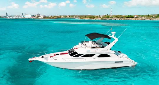 Exclusive boat rental, best value! Sea Ray 440 Express Bridge Yacht