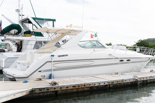 Luxury Yacht Maxum 39ft with Skipper, for 12 passengers