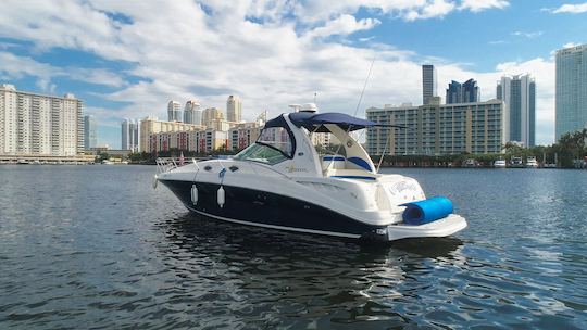 Miami Skyline Swim island /Sandbar Music with legendary Captain Welcome Aboard!