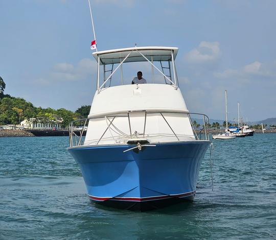 Bateau de fête bon marché No Frills pouvant accueillir jusqu'à 18 personnes