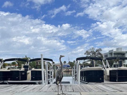 Pontões Bentley de 23 pés em Punta Gorda, Flórida