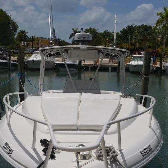 36' Intrepid boat in Casa de Campo, La Romana