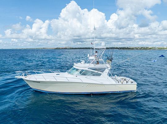 Barco Viking de 43 pés - Barco elegante e poderoso, incrível para pesca e mergulho com snorkel